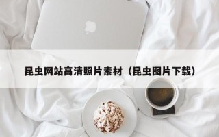 安康昆虫网站高清照片素材（昆虫图片下载）